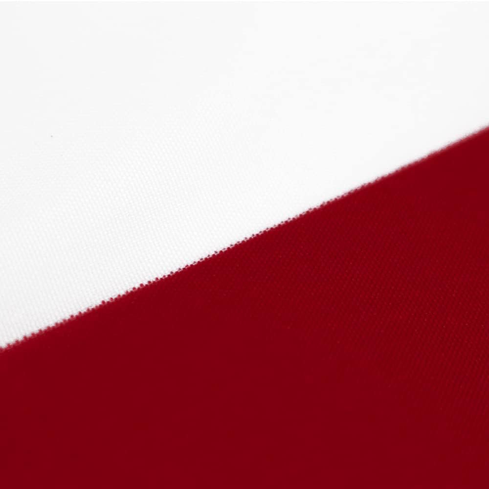 Flaglink 1.5X3Ft American Pleated Fan Flag Width Approx 90Cm - Us Patriotic Half Fan Bunting Flag 4 Pack