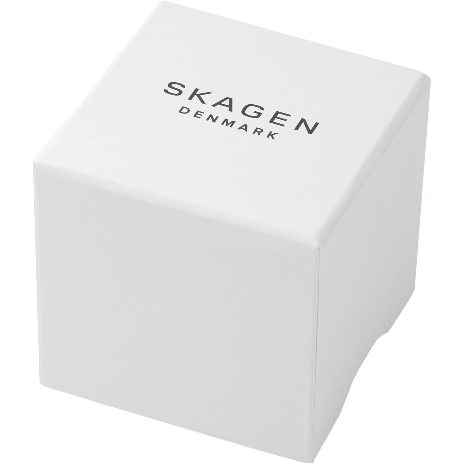 Skagen Anita Lille Minimalist Stainless Steel Watch For Women
