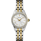 Seiko Stainless Steel Automatic Watches For Women