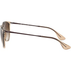 Ray-Ban Rb4171 Erika Round Sunglasses