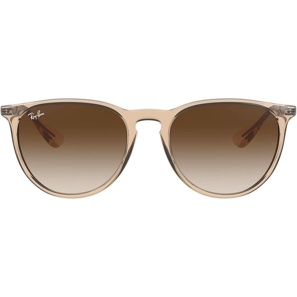 Ray-Ban Rb4171 Erika Round Sunglasses