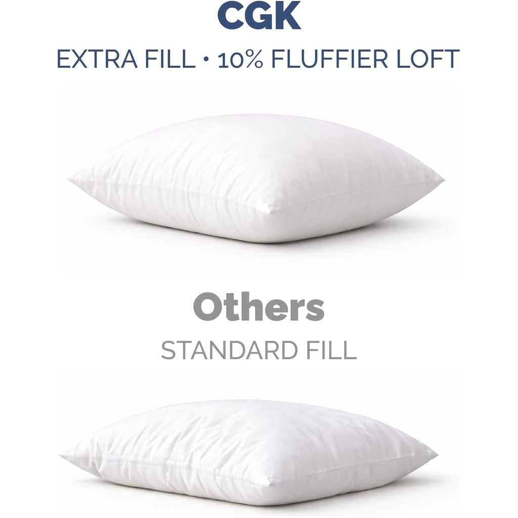 Throw Pillow Inserts 18x18 Set of 2 - Fluffy Down Alternative Fill - 10% More Fill Than Standard Loft - Plump Bounce-Back Support for Indoor & Outdoor Use - Hypoallergenic & Machine Washable - White