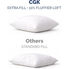 Throw Pillow Inserts 18x18 Set of 2 - Fluffy Down Alternative Fill - 10% More Fill Than Standard Loft - Plump Bounce-Back Support for Indoor & Outdoor Use - Hypoallergenic & Machine Washable - White