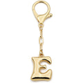 TTYY Initial Keychain For Women Handbag Charms Backpack Car Keyring for Sister Besties Mom Gold Letter Keychain