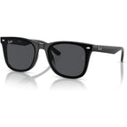 Ray-Ban Rb4420 Square Sunglasses For Men For Women