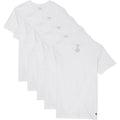 Polo Ralph Lauren Classic Fit Wicking V-Neck 5-Pack Undershirts
