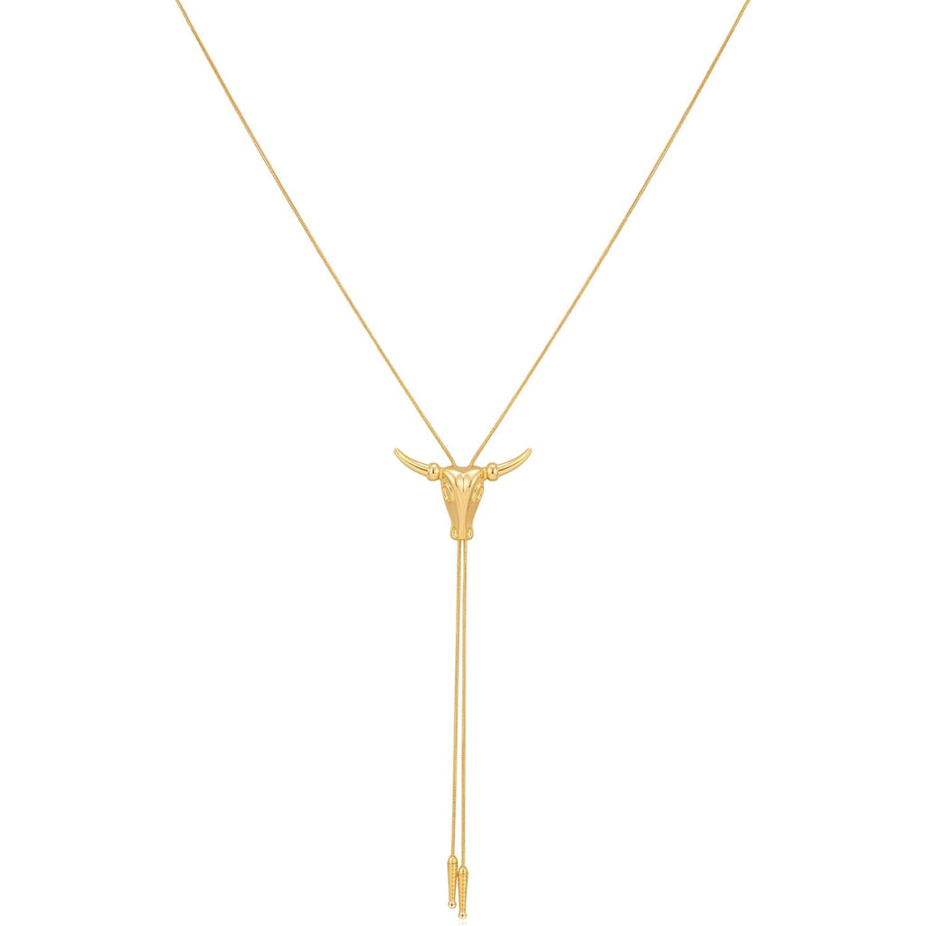 Western Cowgirl Necklace for Women Lariat Long Chain Hat Bull Head Turquoise Y Necklaces Cowboy Bolo Tie Accessories Trendy Western Country Jewelry Gifts Rodeo Outfit for Women