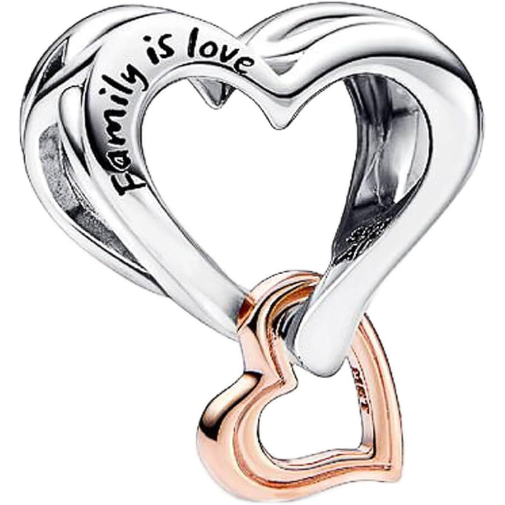 10 Pack Silver Charms for Bracelets and Necklaces Charms for Women Pendant Beads Set