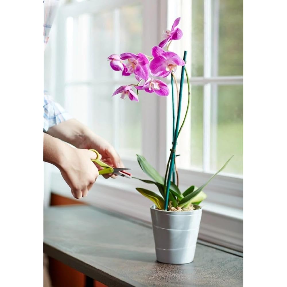 Miracle-Gro Orchid Plant Food Spikes - Indoor Plant Fertilizer Sticks For Potted Orchids, Feeds For Up To 2 Months, 10 Spikes