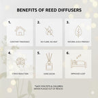 Reed Diffuser Set - Vanilla Coconut Oil, Oil Diffuser Sticks, Bathroom Diffuser, Bathroom Shelf Decor, 200Ml With Preserved Flowers - Peanäk