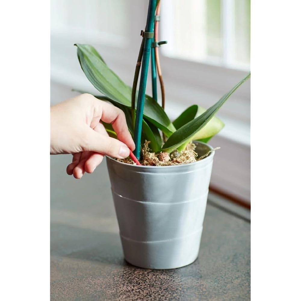 Miracle-Gro Orchid Plant Food Spikes - Indoor Plant Fertilizer Sticks For Potted Orchids, Feeds For Up To 2 Months, 10 Spikes