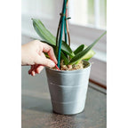 Miracle-Gro Orchid Plant Food Spikes - Indoor Plant Fertilizer Sticks For Potted Orchids, Feeds For Up To 2 Months, 10 Spikes