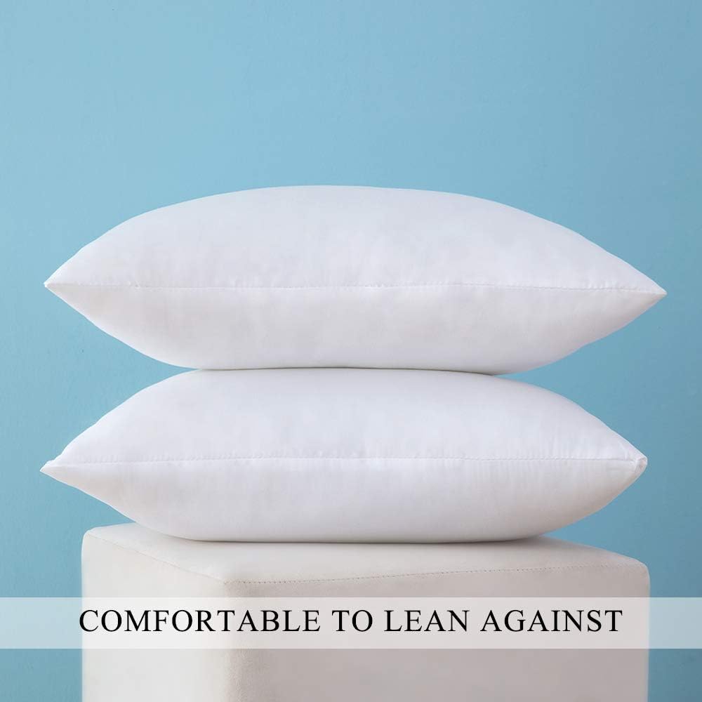 MIULEE Set of 2 Throw Pillow Inserts Premium Pillow Stuffer Rectangle Form for Decorative Cushion Bed Couch Sofa 12x20 Inch