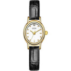 FANMIS Vintage Small Golden Bracelet Women’s Watches Dainty Minimalism Oval Dress Bangle Watch Easy to Read Waterproof Wristwatch,Adjustable Stainless Steel & Expansion Band