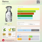 my perfumes Arabiyat Prestige Marwa Eau de Parfum, 100ml, Silver For Men Made in UAE