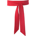 Chiffon Sash Belt, Long Satin Ribbon Scarf Belt, Self Tie Waist Bow Tie Belts for Women Dresses Bridal Wedding