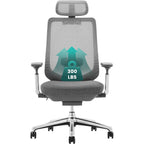 Colamy Ergonomic Mesh Office Chair, High Back Office Chair, Computer Executive Desk Chair With Lumbar Support,Adjustable Headrest And 4D Arms, Slide Seat, Tilt Lock-Darkgrey New