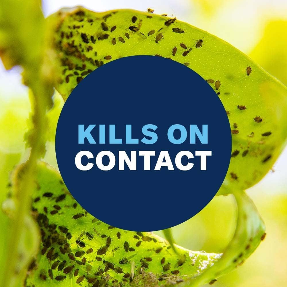 Bioadvanced Houseplant Insect And Mite Control Spray - Insecticide, Fungicide & Miticide - Ready-To-Use - Houseplant Insect Control - 24 Fl Oz Bottle
