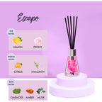 Xcleen 3 Pack Reed Diffuser, Scented Oil Diffuser With 15 Sticks, Escape/Vanilla/Moroccan Amber, Air Freshener For Bathroom & Office, Holiday Home Fragrance, Gift Idea, Each 1.7Fl Oz, Total 5.1Oz
