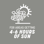 Pennington Contractors Central Grass Seed Mix, Rapid Grass Seeds For Lawn, 7 Lb