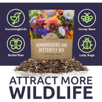 Wildflower Seeds Butterfly And Humming Bird Mix - Large 1 Ounce Packet 7,500+ Seeds - 23 Open Pollinated Annual And Perennial Species