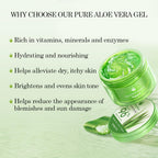 Aloderma Aloe Vera Gel Made Within 12 Hours Of Harvest With 96% Pure Organic Aloe Vera For Skin, Scalp, & Hair, Soothing Aloe Face Moisturizer, Multipurpose, Hydrating Aloe Gel, 7.05Oz