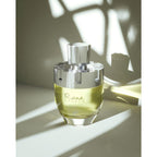 Afnan Rare Carbon Eau De Parfum Spray for Men, 3.4 Fl. Oz