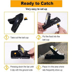 Feeke Mouse Traps, Mice Traps For House, Small Mice Trap Indoor Quick Effective Sanitary Safe Mousetrap Catcher For Family And Pet - 6 Pack, (M01-6Pack)