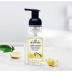 J.R. Watkins Foaming Hand Soap with Pump Dispenser, Moisturizing Foam Hand Wash, Alcohol-Free, Cruelty-Free, Citron, 9 fl oz, 3 Pack