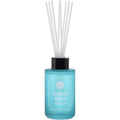 Dw Home Reed Diffuser Set Calming Waves Scent For Bathroom Accessories Shelf Decor & Air Fresheners, 3.3 Oz Essential Oils, House Bedroom Office Decor & Gift