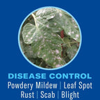 Bioadvanced Houseplant Insect And Mite Control Spray - Insecticide, Fungicide & Miticide - Ready-To-Use - Houseplant Insect Control - 24 Fl Oz Bottle