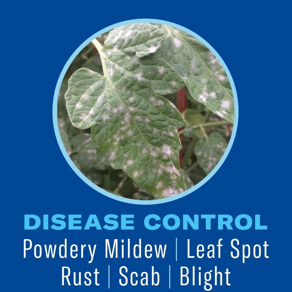 Bioadvanced Houseplant Insect And Mite Control Spray - Insecticide, Fungicide & Miticide - Ready-To-Use - Houseplant Insect Control - 24 Fl Oz Bottle
