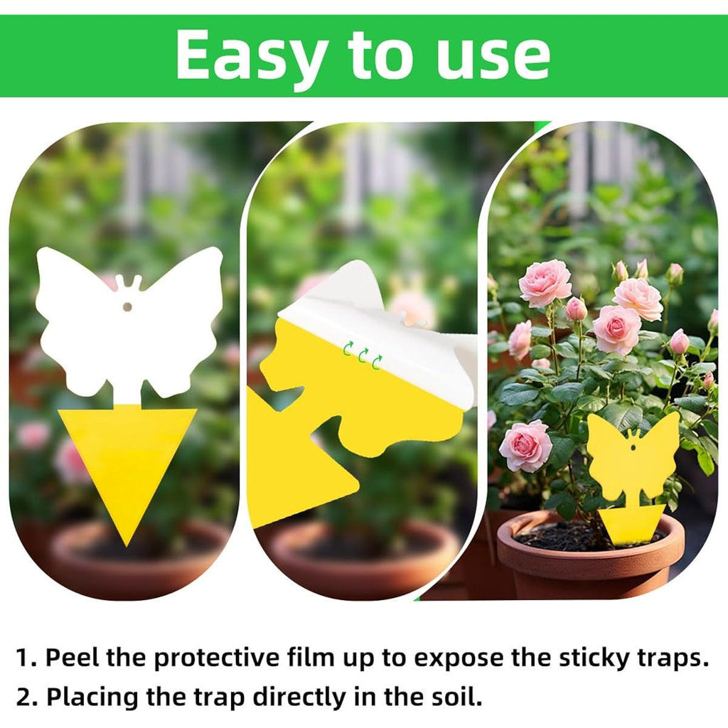 36 Pcs Sticky Traps For Fungus Gnat, Fruit Fly, Whitefly, Yellow | Indoor/Outdoor Use, For Plants & Kitchen, High-End Glue, Insect Catcher