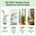 Todd'S Seeds Broccoli & Friends Mix 1/4 Lb - Broccoli Alfalfa Radish Clover | Broccoli, Clover, Radish & Alfalfa. Fast-Growing Microgreens In 5 Days. Chemical Free, High Germination. Usa Made Since 2009.