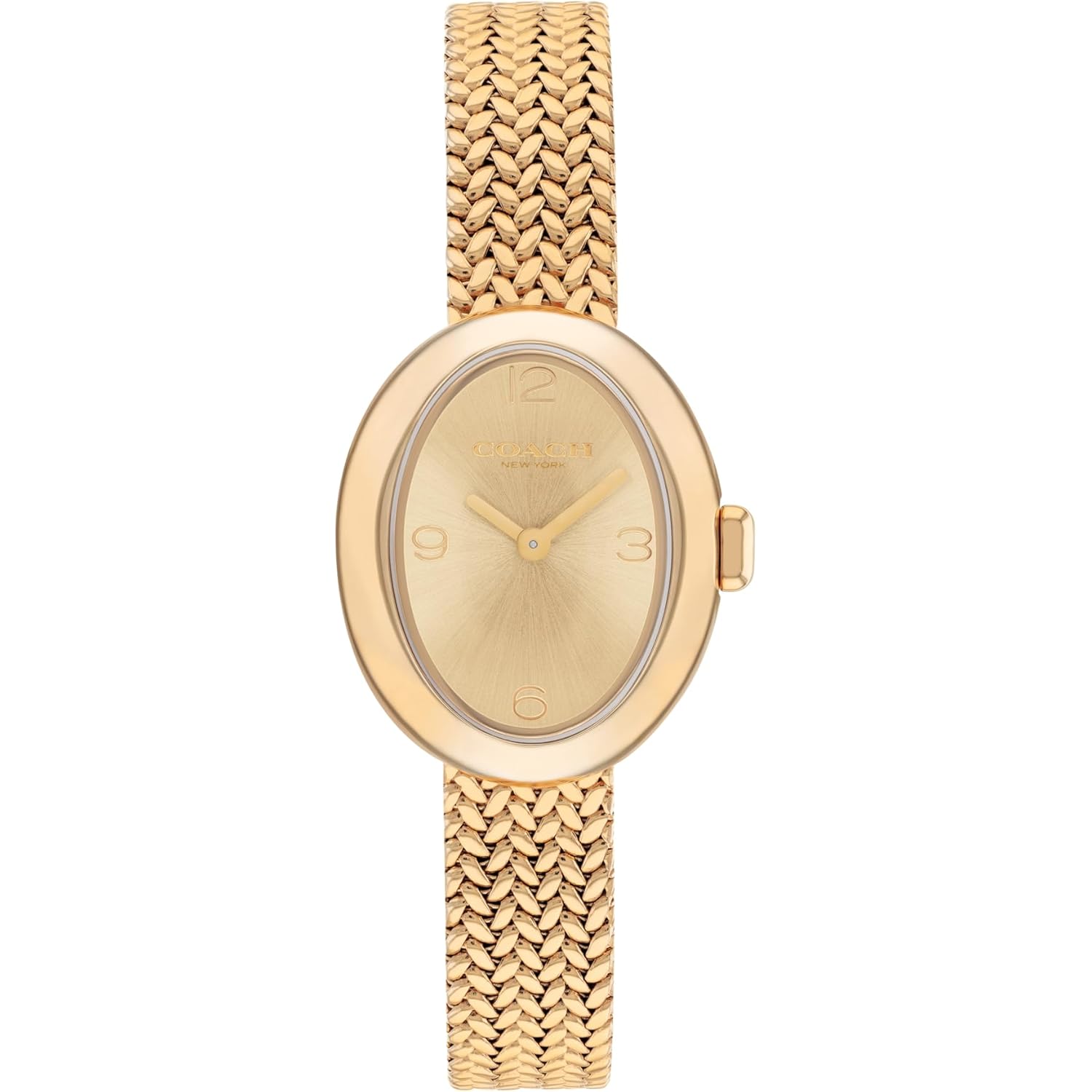 COACH Women's Sammy 2H Quartz Bracelet Watch, 22.5mm Petite Oval Case, Premium Fashion, Everyday Wear - Gift for Her