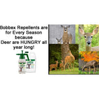 Concentrated Deer Repellent - Bobbex | Deer, Elk, And Moose Deterrent Concentrate (64 Oz.) Ub-U9Nt-Ke8U