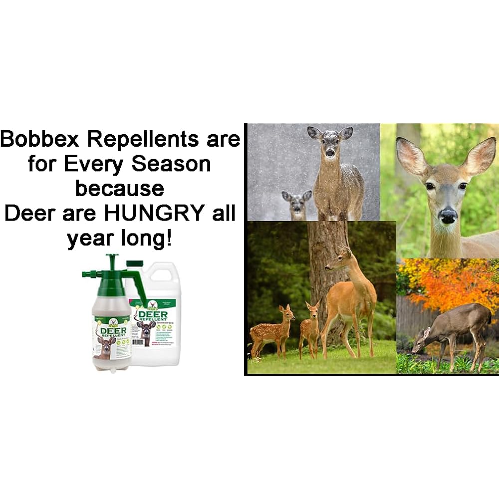 Concentrated Deer Repellent - Bobbex | Deer, Elk, And Moose Deterrent Concentrate (64 Oz.) Ub-U9Nt-Ke8U