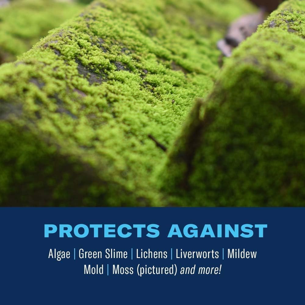 Bioadvanced 2-In-1 Moss And Algae Killer For Lawns, Moss Killer For Roofs, Patios, Decks, And Deck Cleaner, 32 Oz | Ready-To-Spray - Use On Lawns, Ornamental Gardens, And Patios - Deck Cleaner - Up To 1 Year Protection