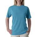 Comfort Colors Adult Short Sleeve Tee, Style G1717