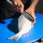 Fish Scaler, 304 Stainless Steel Fish Scaler Remover, Sawtooth Fish Descaler Tool for Family Kitchen, Seafood Markets
