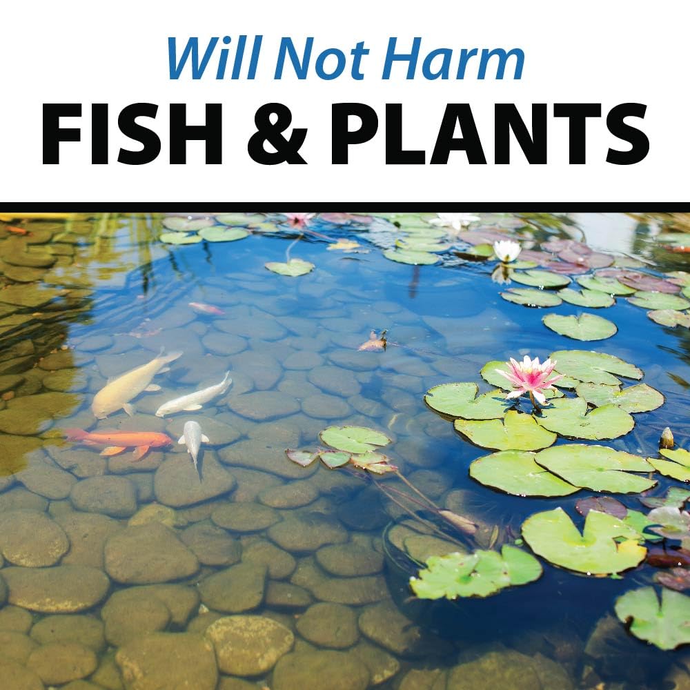 Crystalclear Pondshock Ball Freshwater Clarifier, Enzymes Shock Treatment | Natural Live Bacteria Muck & Sludge Remover For Small Outdoor Water Garden Ponds. Koi Fish & Aquatic Plants Safe