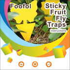 Fruit Fly Traps Fungus Gnat Traps Yellow Sticky Bug Traps 36 Pack No Harm And Odorless For Indoor Outdoor Use Protect The Plant