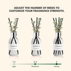 Clesh Reed Diffuser Set, 6.7 Oz Eucalyptus Scented Diffuser With Sticks, Home Fragrance Reed Diffuser For Bathroom Shelf Decor