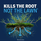 Bioadvanced Bermudagrass Control For Lawns, Ready-To-Spray, 32Oz, 4,000 Sq Ft