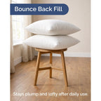Throw Pillow Inserts 18x18 Set of 2 - Fluffy Down Alternative Fill - 10% More Fill Than Standard Loft - Plump Bounce-Back Support for Indoor & Outdoor Use - Hypoallergenic & Machine Washable - White