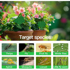 58 Pack Gnat Killer Sticky Traps For Plants - Green Fungus Gnat Sticky Trap For Indoor Houseplants, Fruit Fly, Whitefly, Aphid - Family Friendly Design, Flower/Cloud Or Sunflower/Butterfly