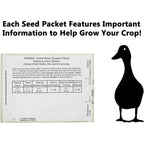 Set Of 43 Assorted Vegetable & Herb Seed Packets - Over 10,000 Seeds! - Includes Mylar Storage Bag - Deluxe Garden Heirloom Seeds - 100% Non-Gmo