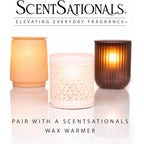 Scentsationals Cuddle Up - Tonka Scented Wax Melts 10Oz (24 Cubes)