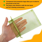 100Pcs Fruit Protection Bags, 4X6 Inch Green Strawberry Netting Cover Drawstring Mesh Bags Pest Barrier For Blueberry Small Fruit