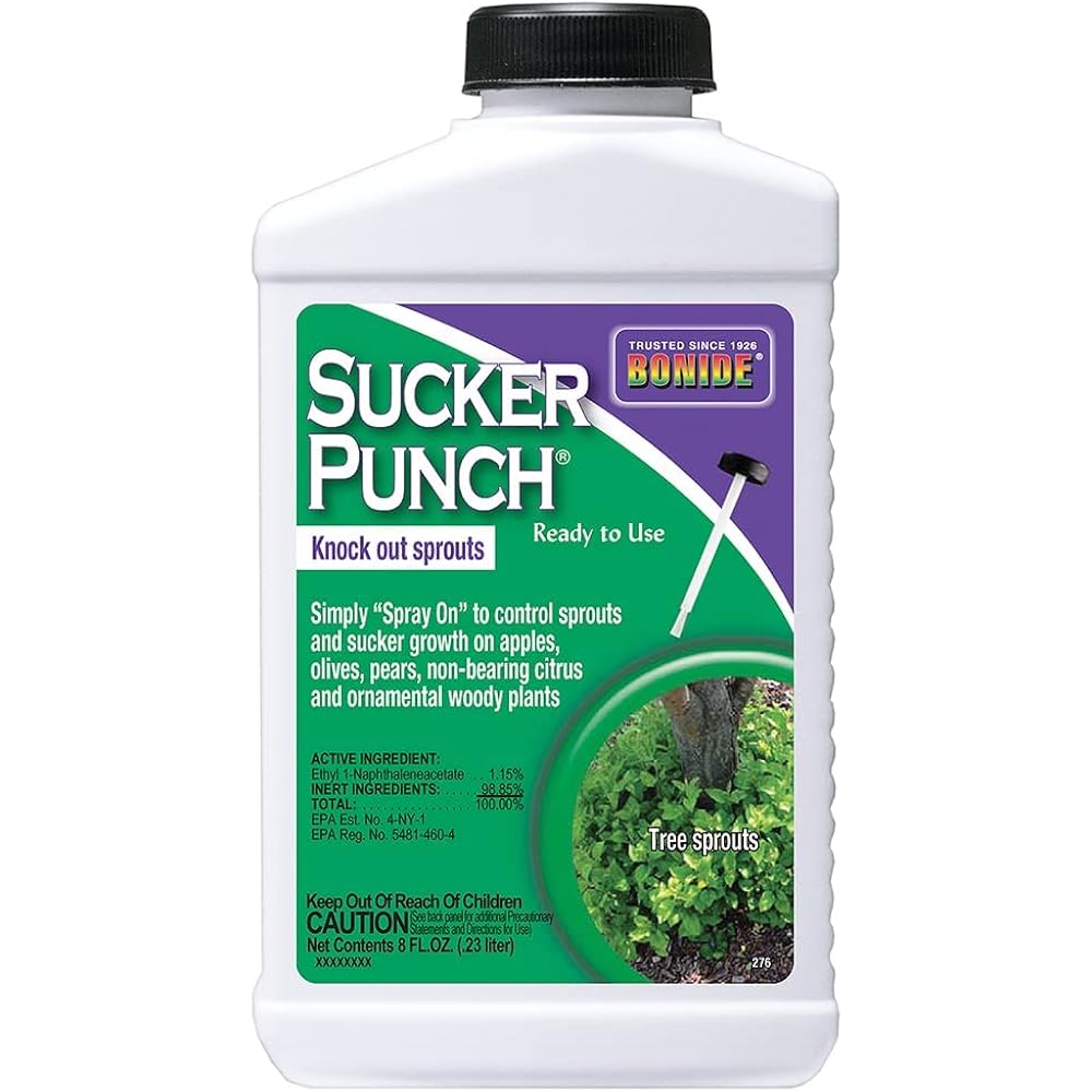Bonide Sucker Punch Knock Out Sprouts 8 Oz | Ready-To-Use With Applicator, Stop Sprouting From Roots And Pruning Cuts